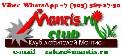 -     -          Mantis      -    